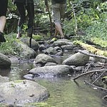 Akmenuotas dugnas verčia stebėtis upės grožiu. Autorė D. Selickaitė