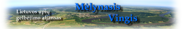 MelynojoVingio_headeris
