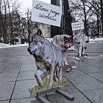 Vilkai kalba pikete V. Kudirkos aikštėje