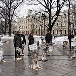 Vilkai kalba pikete V. Kudirkos aikštėje